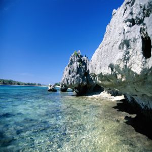 Deniz Palmiye ve Tatil - 673