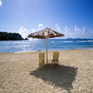 Deniz Palmiye ve Tatil - 690