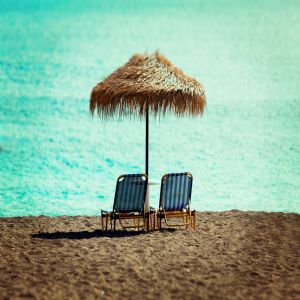 Deniz Palmiye ve Tatil - 719