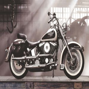 Motorlu Araçlar - 447